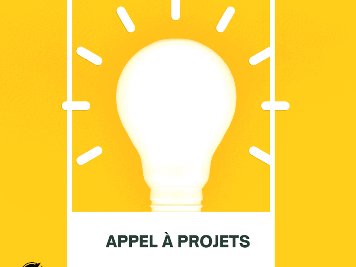 Appel-a-projets-IT.png