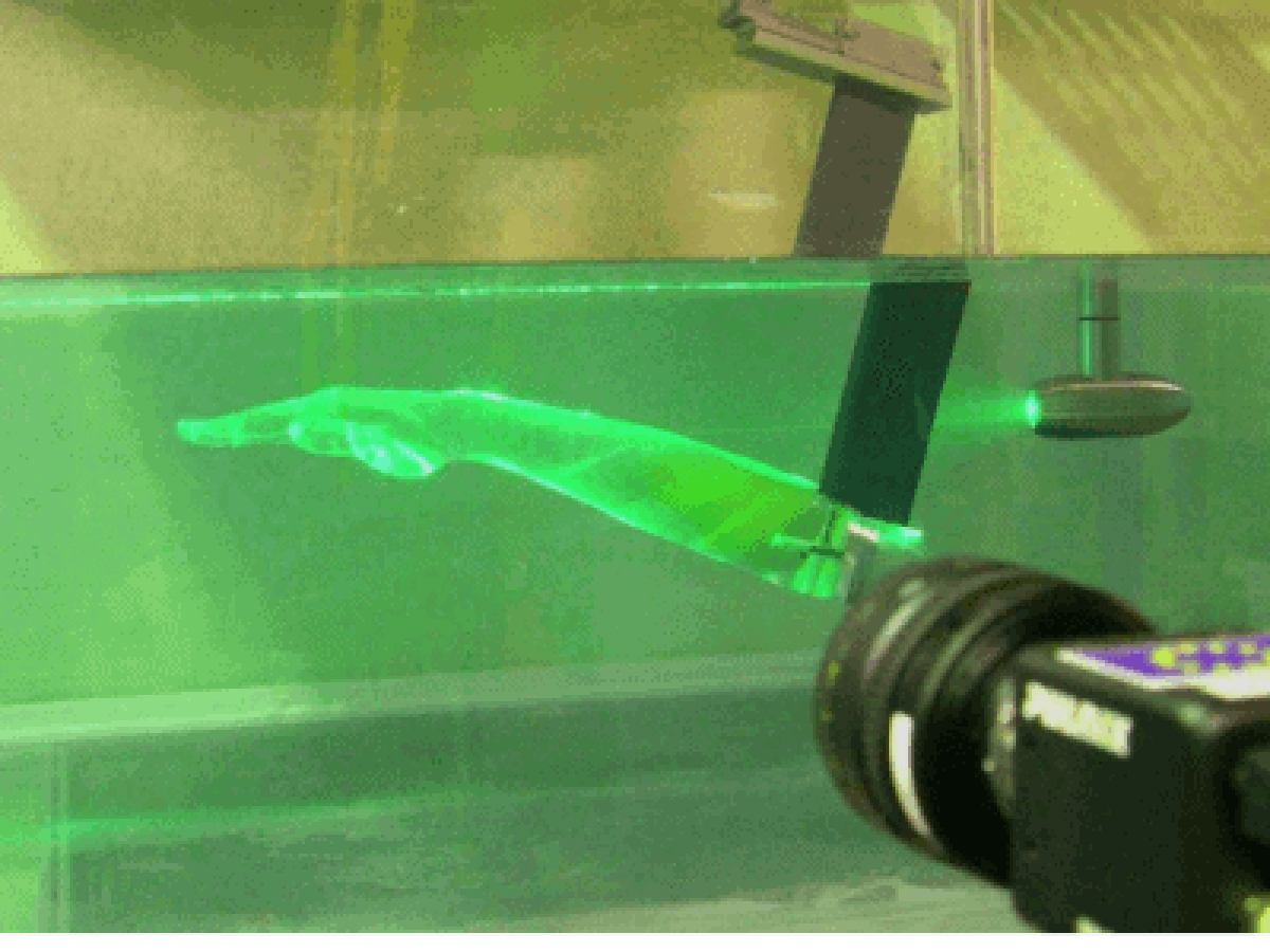 c2ac65fe439b3dd17fe5d3b8f1a273735794c7d7