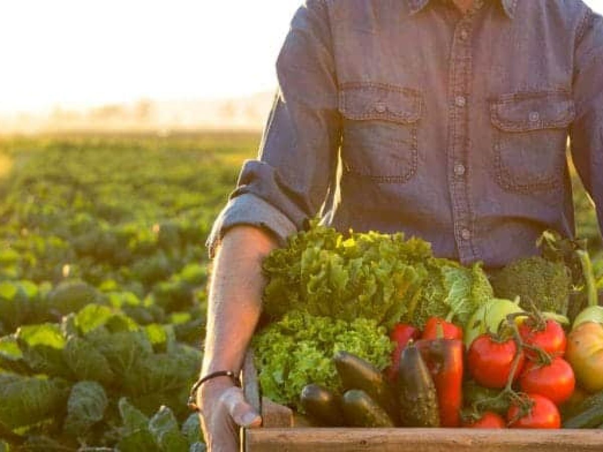 AGRO AGRI